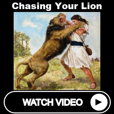 Chasing Your Lion