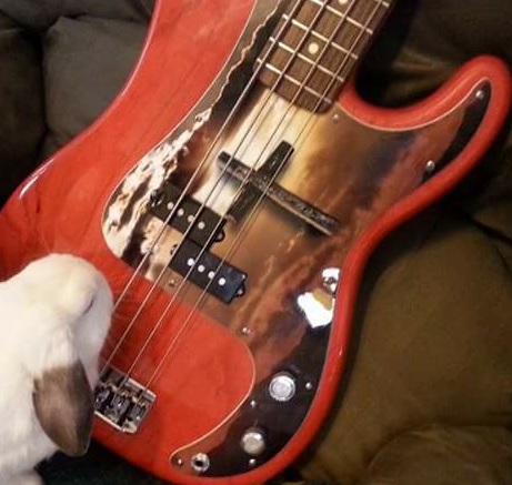 Fender Precision Bass